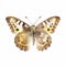 watercolour illustration of speckled wood butterfly cute playful clipart