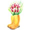 Watercolour painted bunch of pink tulips. Bright design decoration element. Use as a sticker, illustration, decorative idea.