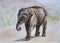 A watercolour painting of a baby Indian elephant in the countryside of Thailand