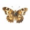 watercolour painting of speckled wood butterfly clipart