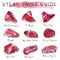 Watercolour Popular Steak Types Set. Beef Cuts. Meat Guide for Butcher Shop or Steak House Restaurant Menu. Hand Drawn