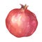 Watercolour ripe pomegranate on white background
