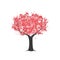 Watercolour sakura blossom pink tree isolated on white. Vector