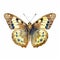 watercolour speckled wood butterfly clipart on white background