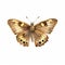 watercolour speckled wood butterfly cute playful clipart on white background
