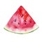Watercolour watermelon illustration. Hand drawn watermelon slice. Fresh watermelon. Bright and fresh illustration