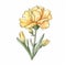 Watercolour Yellow Carnation Illustration On White Background