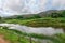 Watercourse on brown lake in green nature