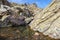 Watercourse joining Radule waterfall in Central Corsica