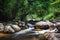 Watercourse of rocks in tropical woods