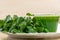 Watercress juice and salad Nasturtium officinale served in white porcelain dish