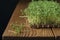 Watercress microgreens with linen rug on textured table