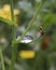 Waterdrop in green nature