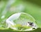 Waterdrop reflection on green leaf