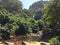 waterfal and bridge in Galboda estate Nawalapitiya Sri Lanka