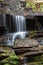 Waterfall across moss and fall leaves on wet rocks, Great Smoky Mountains