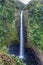 Waterfall in Akaka Falls State Park, Hilo, Hawaii. Drop down side of cliff to pool below. Lush jungle plans in foreground.