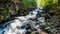 Waterfall In Algonquin Provincial Park Forest Hiking Trail