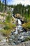 Waterfall along the Icefields Parkway in the Canadian Rockies between Banff and Jasper