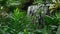 A waterfall amidst lush jungle vegetation