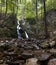 Waterfall on the Appalachian Trail