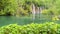 waterfall and attractive foliage at plitvice lakes national park