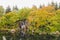 Waterfall in autumn colors