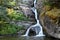 Waterfall in Autumn, Glacier N P