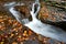 Waterfall and autumn leaves