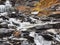 Waterfall during the autumn season in the arctic nature of north Sweden