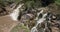 Waterfall in Awash National Park