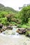 Waterfall in Ayn Khor  and Lush green landscape, trees and foggy mountains at tourist resort, Salalah, Oman