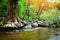 Waterfall background natural wonders thailand river stream in the forest