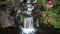 Waterfall in Backyard with Rhododendron Blooming and Ducks Bathing in Spring