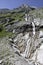 Waterfall in Bavarian Alps