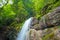 Waterfall in a Bavarian forest