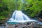 Waterfall in a Bavarian forest