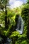 Waterfall in a Beautiful Garden at Monte above Funchal Madeira