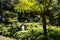 Waterfall in a Beautiful Garden at Monte above Funchal Madeira