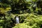 Waterfall in a Beautiful Garden at Monte above Funchal Madeira