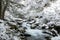 Waterfall and beech forest in snow