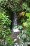 the waterfall behind the lush leaves