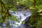 Waterfall behind tree leaves