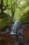 Waterfall of Belaustegi beech forest, Gorbea Natural Park, Vizcaya, Spain