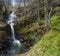 Waterfall and birches in the Serra do Courel