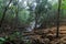 Waterfall by boat Pachmarhi, Madhya Pradesh