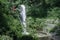 waterfall in the Botanical garden, Balchik