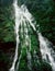 Waterfall in the Boulder River Wilderness, Mt. Baker-Snoqualmie National Forest, North Cascade Range, Washington