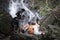 Waterfall with boys talking. Sumatra