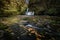 Waterfall in Brecon Beacons